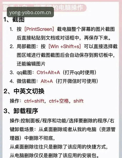 Yobo体育电脑版新手实用指南：从下载到畅玩的必备知识